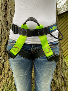 Harness, Lanyard and Carabiner