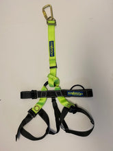 Load image into Gallery viewer, Harness, Lanyard and Carabiner